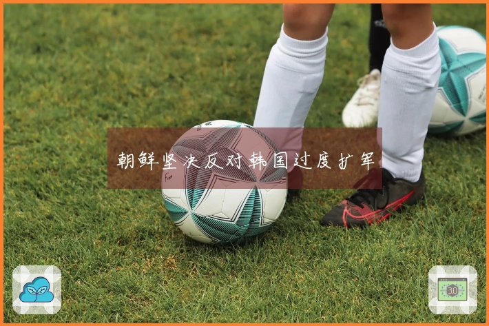 朝鲜坚决反对韩国过度扩军